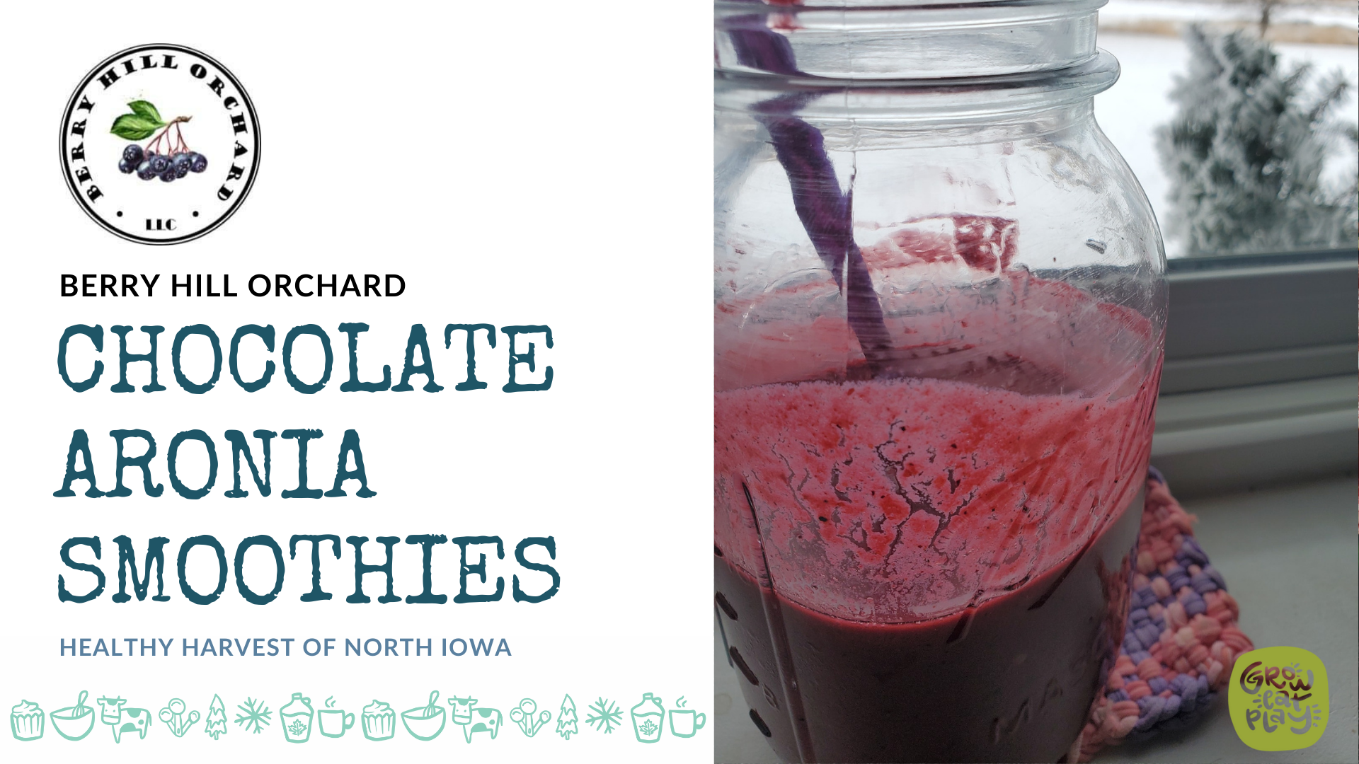 Chocolate Aronia Smoothies from Berry Hill Orchard LLC - Healthy Harvest of  North Iowa