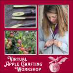 Apple Grafting Workshop: Seed Savers Exchange