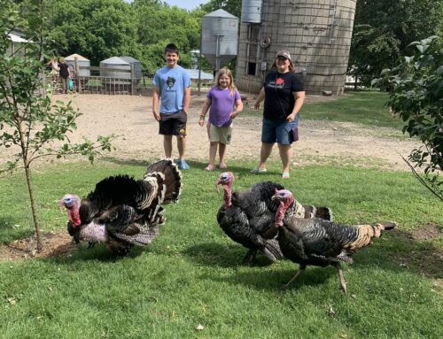 Recap: Mossycup Farms Field Day in Clear Lake