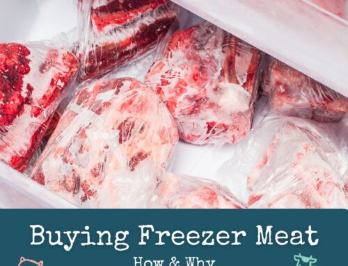 Buying Freezer Meat: How and Why You Should Buy in Bulk